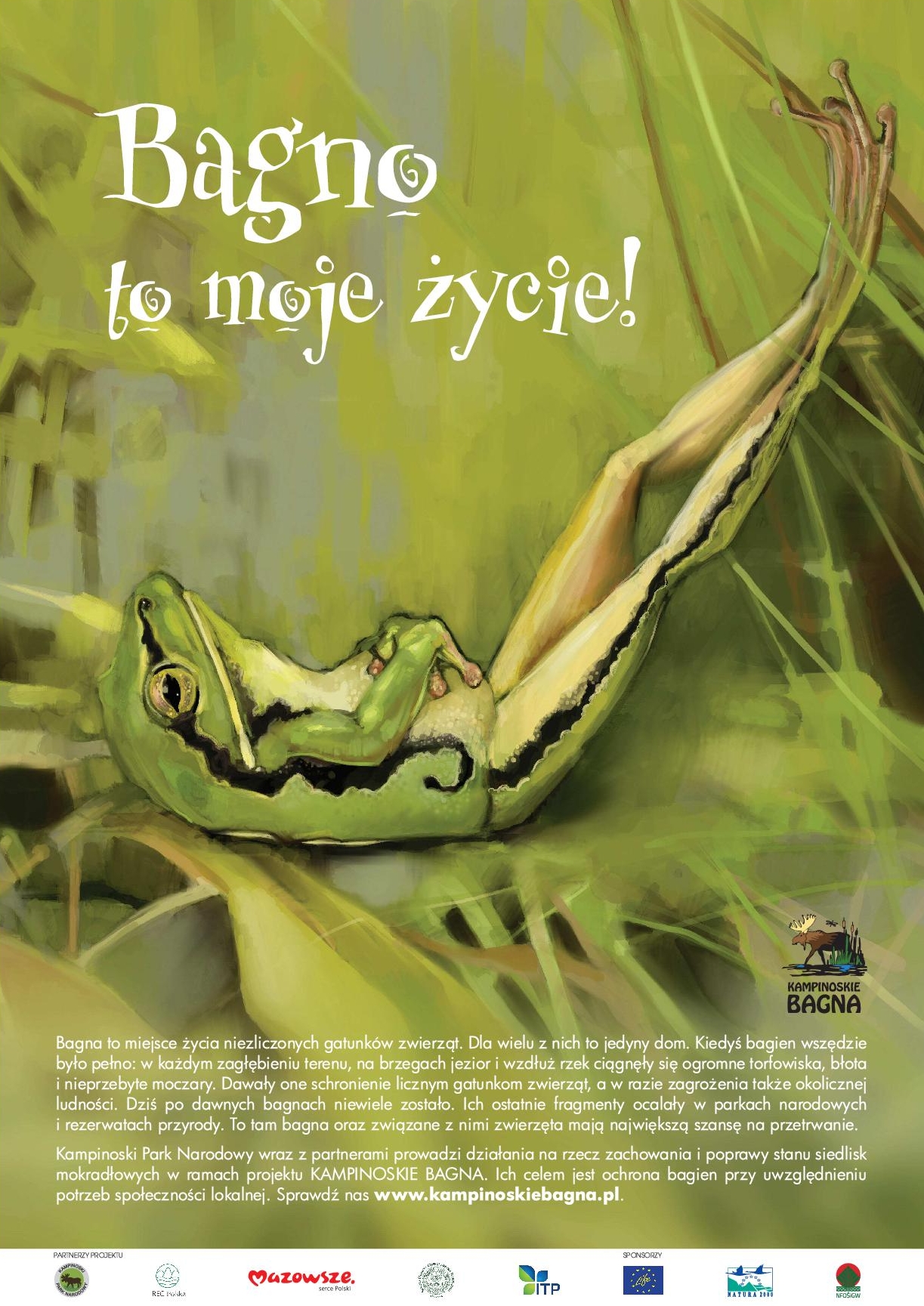 Promotional poster with european tree frog